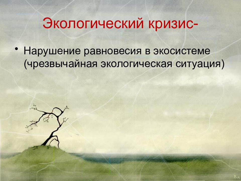 Нарушение равновесия в природной экологической системе. Нарушение равновесия в экосистеме. Нарушение природного равновесия экосистем. Экологическое равновесие экосистемы. Нарушение баланса экосистемы.