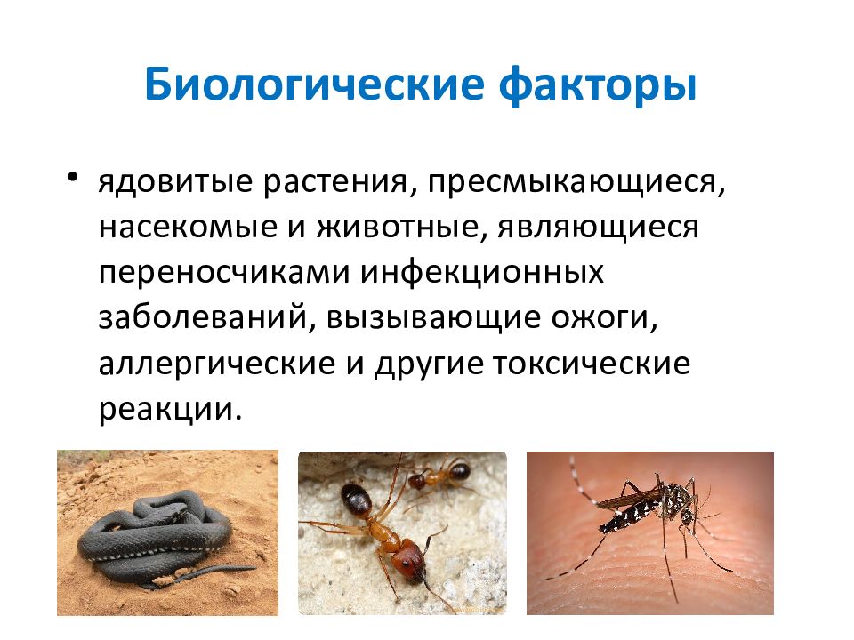 Заболевания вызванные насекомыми. Биологические факторы в походе. Факторы биологической природы. Биологические факторы ОБЖ. Биологические факторы это в биологии.