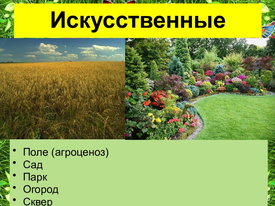 Презентация на тему природные сообщества 5 класс по биологии