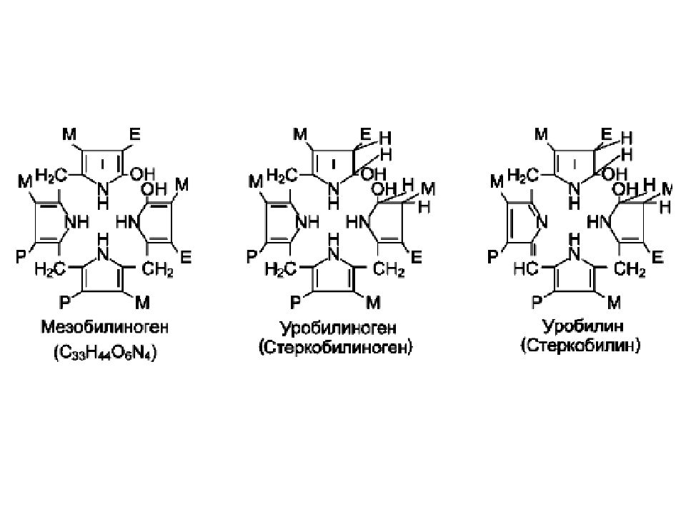 Стеркобилин это. Мезобилиноген (уробилиноген) ?. Уробилиноген структурная формула. Стеркобилин и уробилин биохимия. Уробилиноген формула.