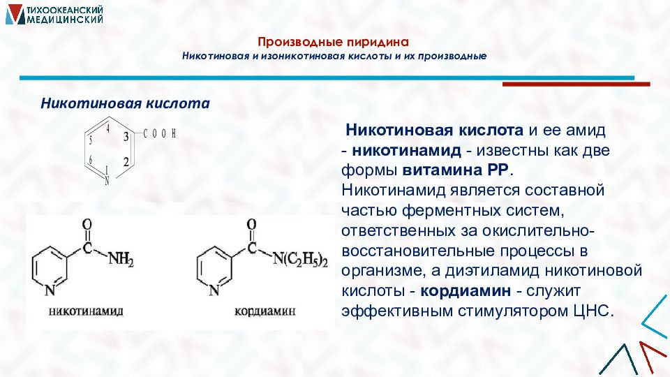 Презентация азотсодержащие гетероциклические соединения нуклеиновые кислоты