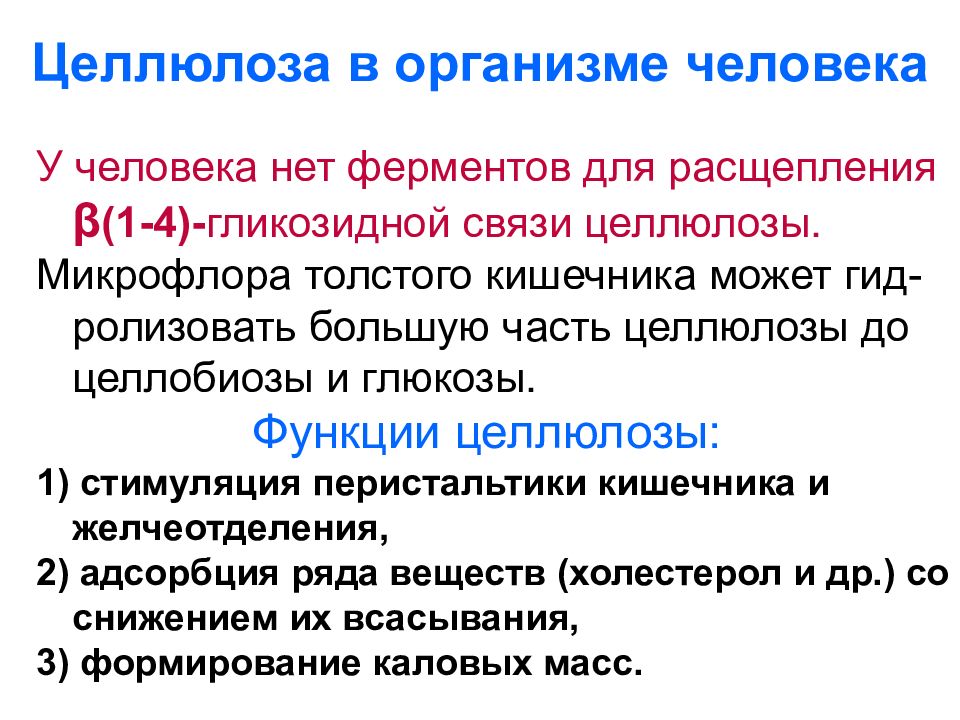 УГЛЕВОДЫ: функции и обмен Целлюлоза в организме человека
