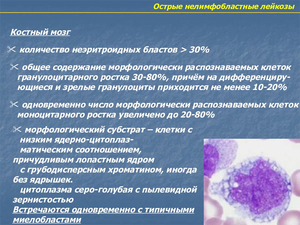 Миелолейкоз и лимфолейкоз. Острый лимфобластный лейкоз костный мозг. Острые нелимфобластные лейкозы. Острый лимфобластный лейкоз этиология. Этиология острого миелоидного лейкоза.