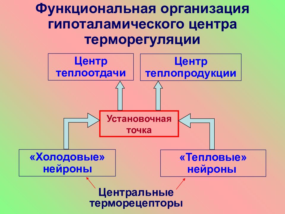 Презентация патология терморегуляции лихорадка