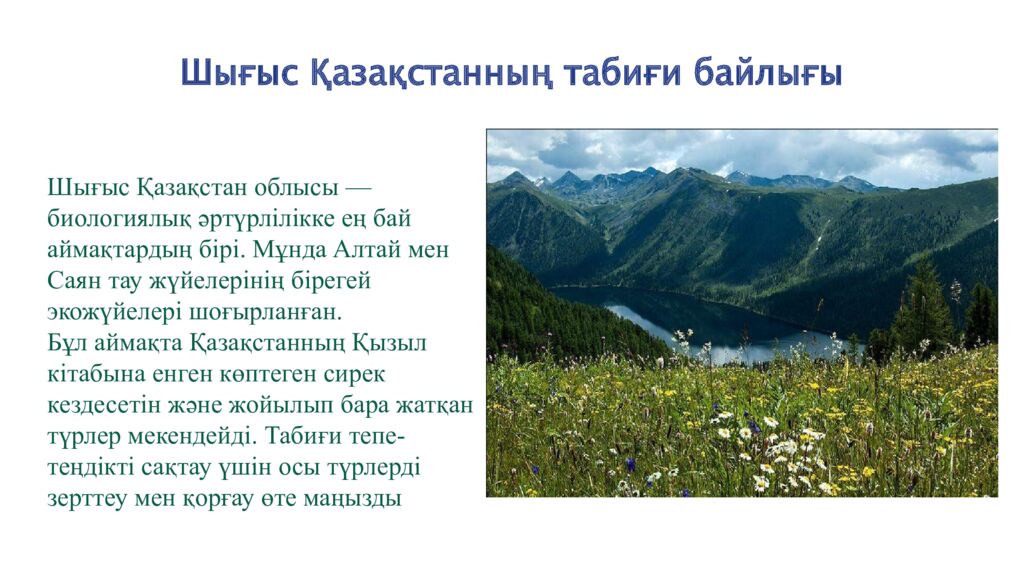 Шығыс Қазақстанның табиғи байлығы