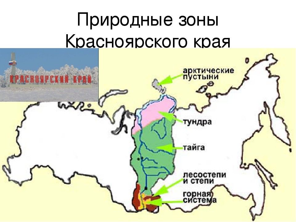 В какой природной зоне находится красноярский край