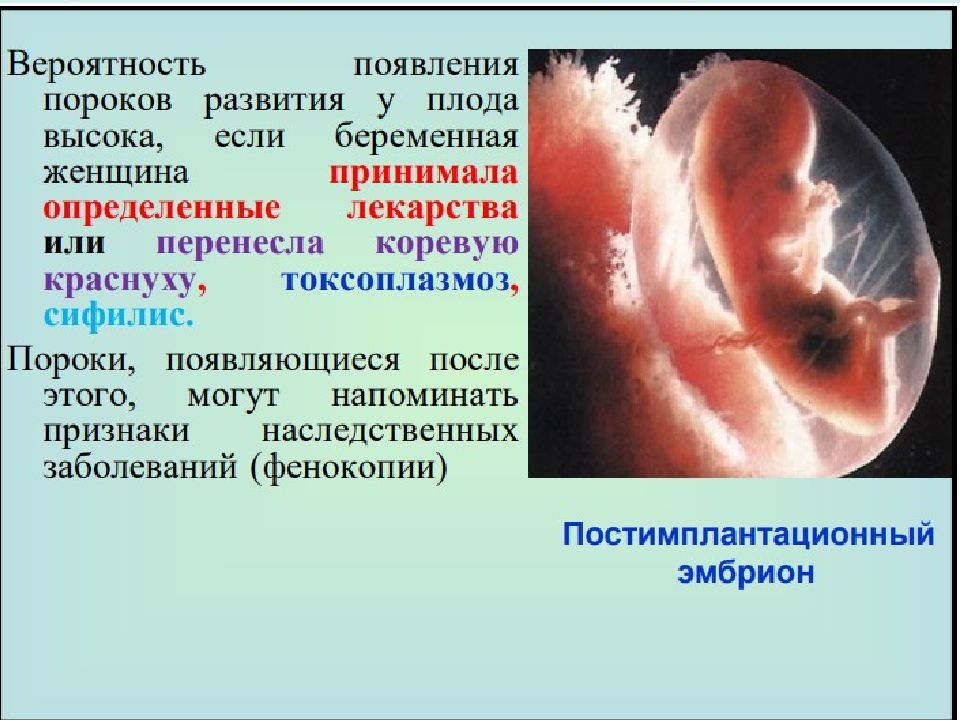 Виды изменчивости и виды мутаций у человека факторы мутагенеза презентация