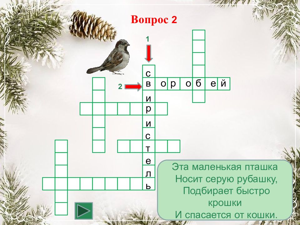 Морская птица кроссворд. Кроссворд зимующие птицы. Кроссворд зимующие птицы 3 класс. Кроссворд зимующие птицы для дошкольников. Кроссворд по теме зимующие птицы в подготовительной группе.