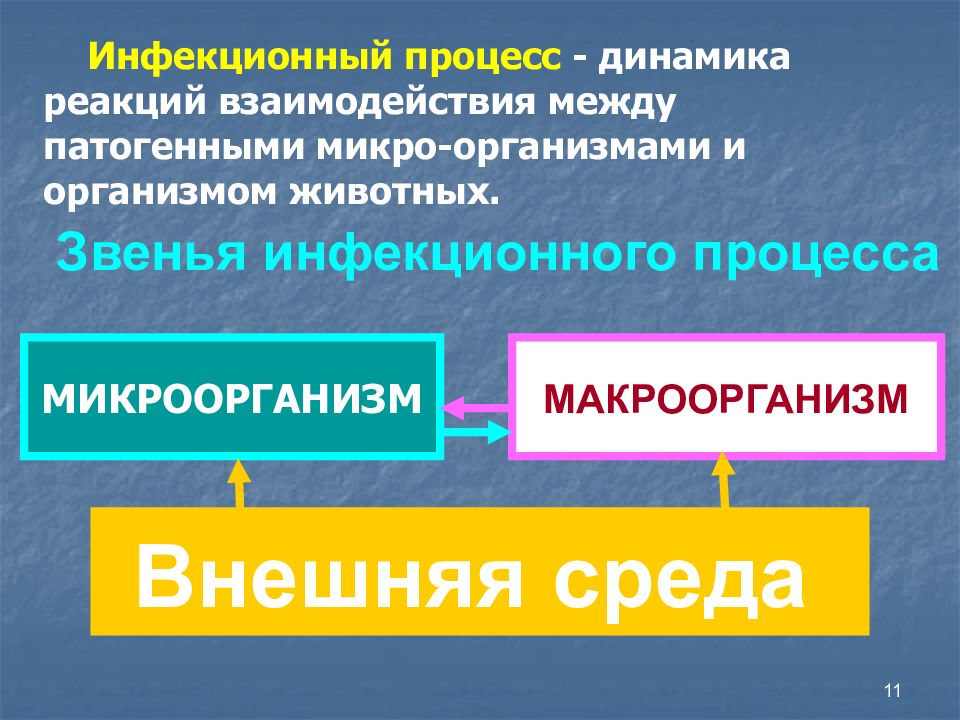 Динамика процесса. Звенья инфекционного процесса. Инфекционный процесс звенья инфекционного процесса. Динамика инфекционного процесса. 3 Звена инфекционного процесса.