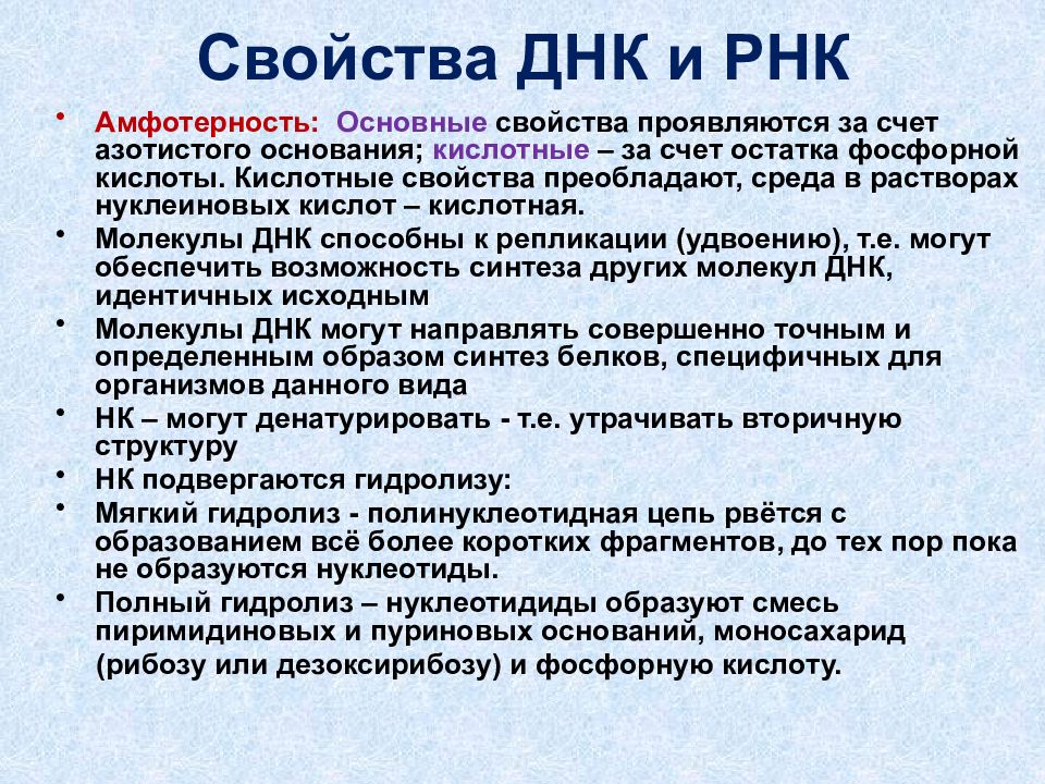 Структура и функции нуклеиновых кислот презентация 11 класс пономарева