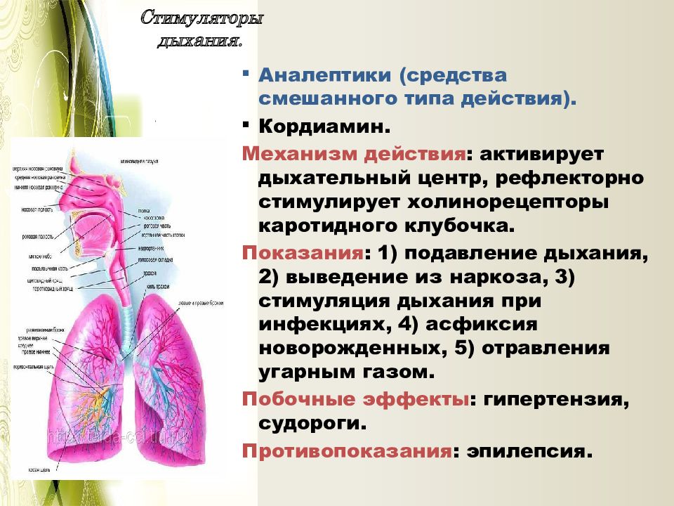 Средства влияющие на функции органов дыхания фармакология презентация