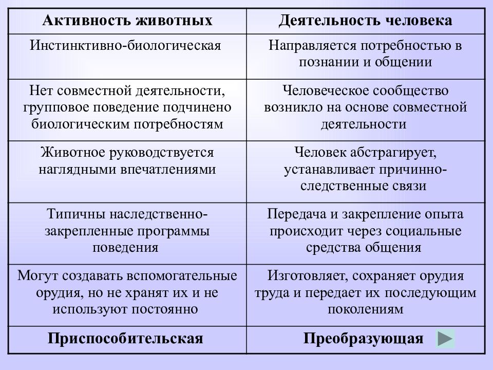 Отличие деятельности человека от животного. Сравнительная таблица деятельности животных и человека. Деятельность человека и животного таблица. Таблица деятельность человека и активность животных. Деятельность животных и деятельность человека таблица.