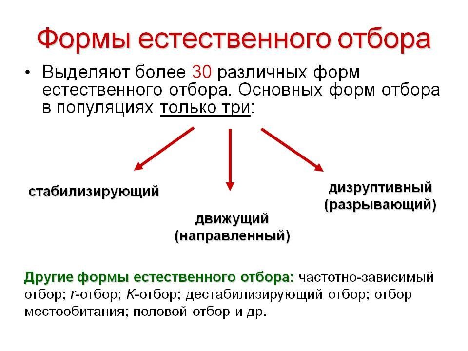 Естественный отбор действующий