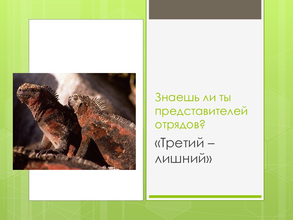 Знаешь ли ты представителей отрядов?