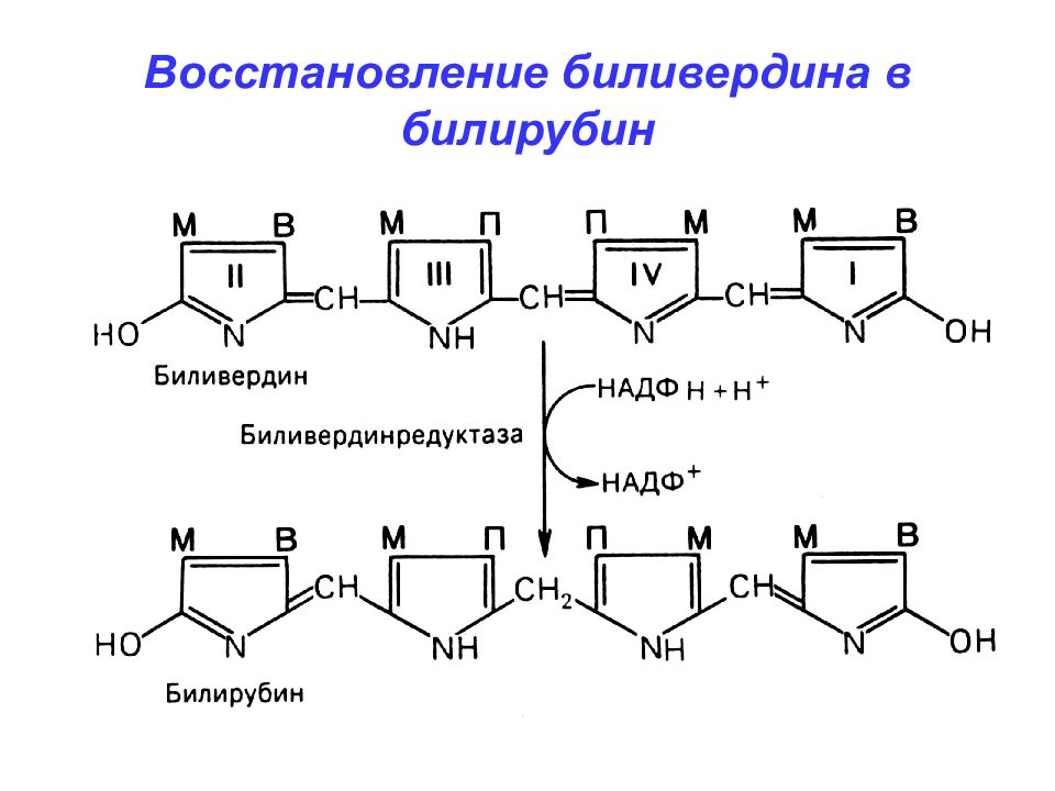 Схема обезвреживания билирубина