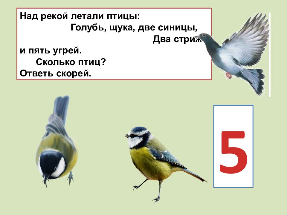 Прибавить и вычесть число 2 Учитель: Григорьева Н. И