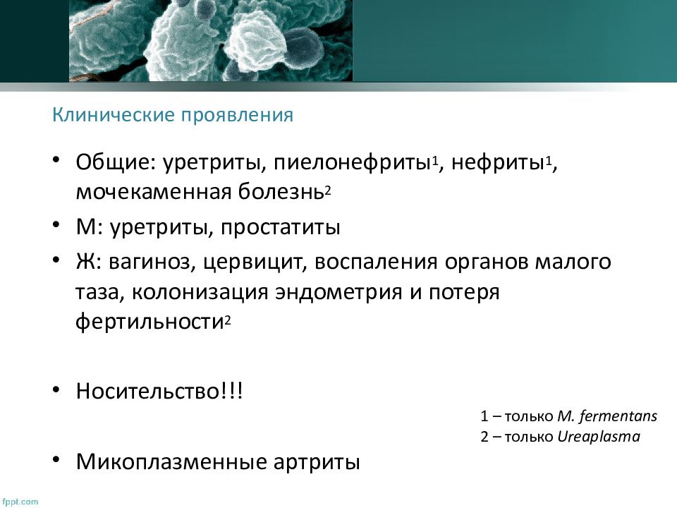 Клиническая микробиология презентация