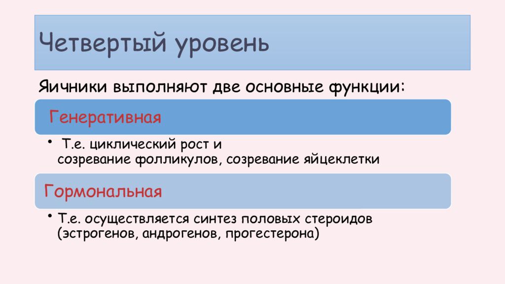 Какую функцию выполняет яичник
