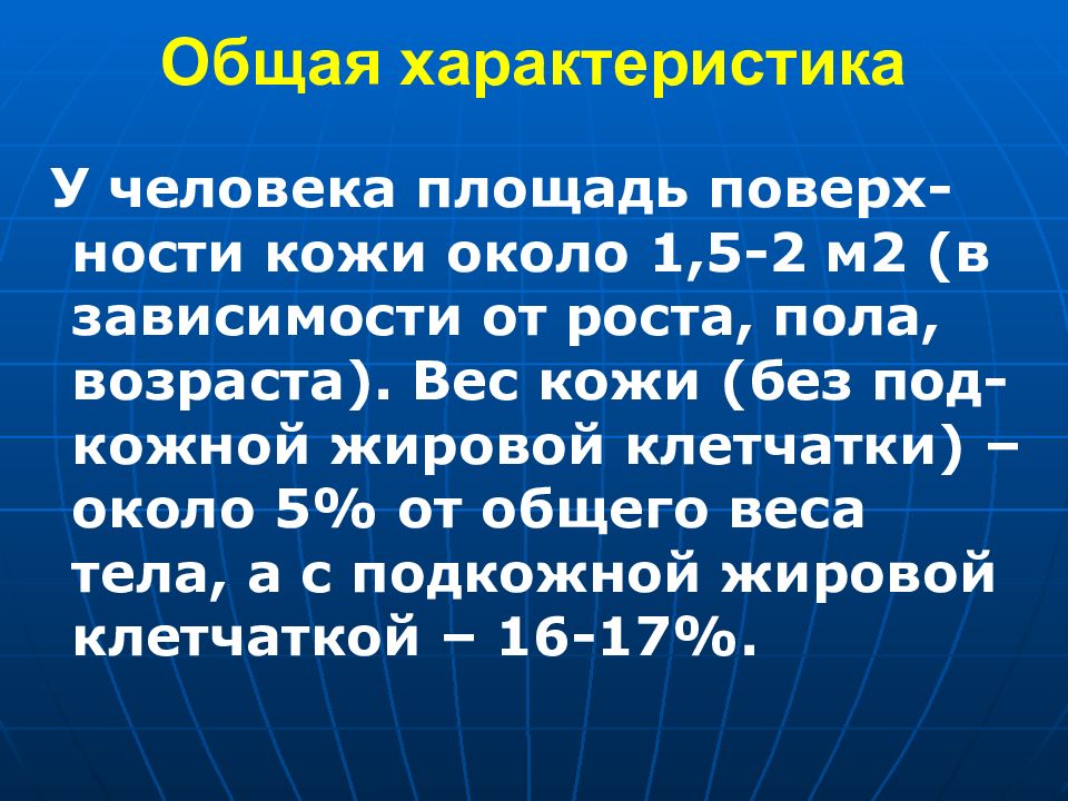 Вес кожи. Характеристика кожи человека. Общая характеристика кожи кратко. Общая характеристика. Общая площадь человеческой кожи.