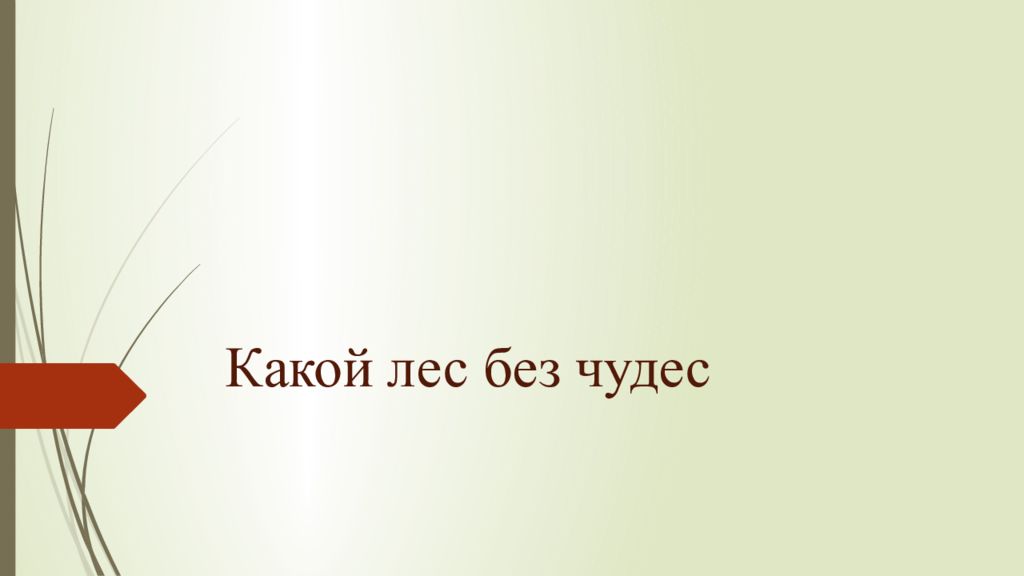 Какой лес без чудес