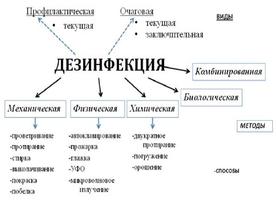 Презентация на тему дезинфекция