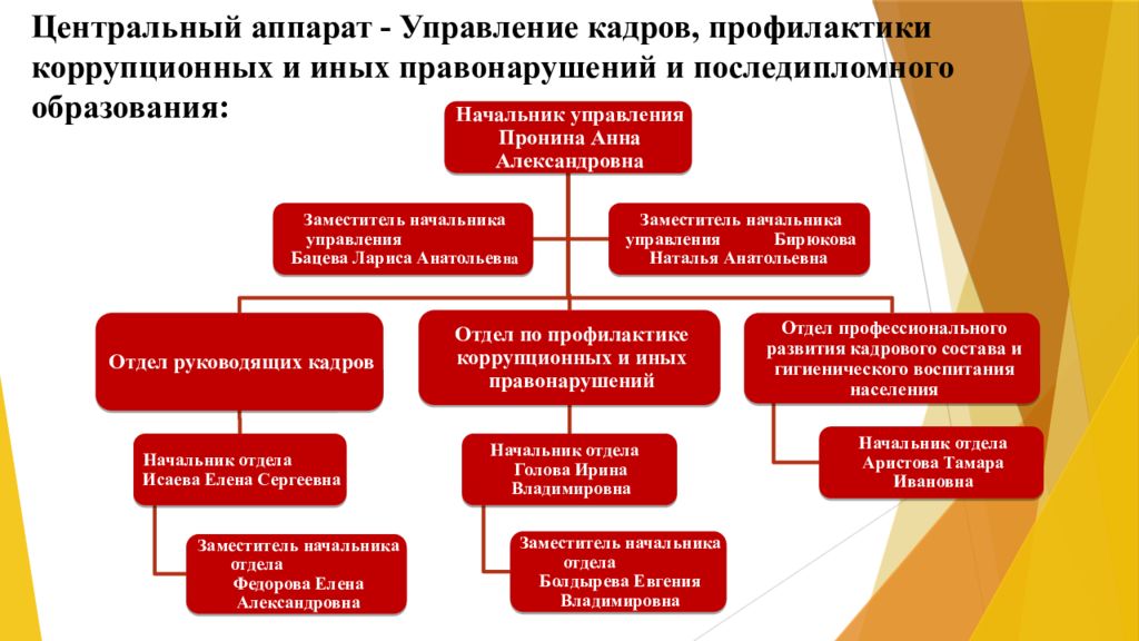 Отдел кадров отдела образования. Отдел по профилактике коррупционных и иных правонарушений. Управленческий аппарат. Подразделение по профилактике коррупционных правонарушений. Подразделения по профилактике коррупции.