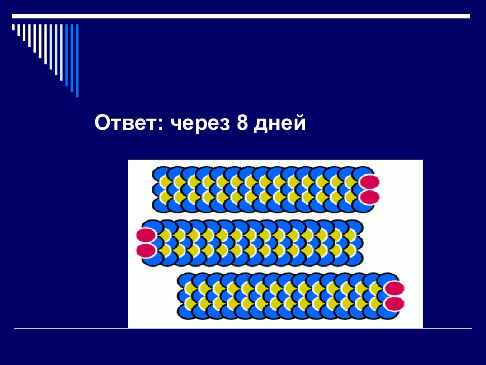 Презентация игра для 6 класса