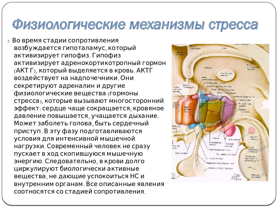 Стрессовый механизм