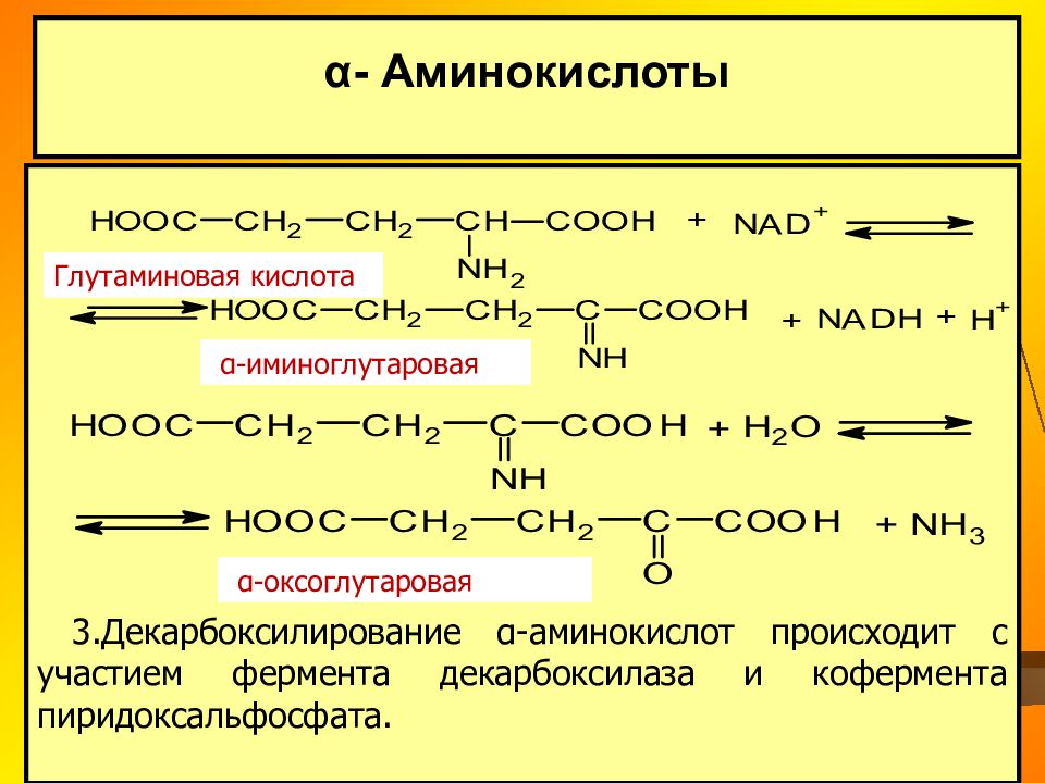 Глутаминовая кислота в продуктах. Полимеризация 1,3-диенов (каучук, гуттаперча).. Полимеризация диеновых соединений. Полимеризация сопряженных диенов. Мономер бутадиен 1.3 полимер.