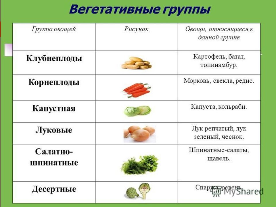 Классификация овощных растений схема