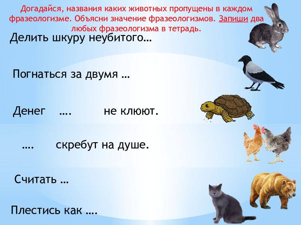 Как появляются фразеологизмы и пословицы 2 класс родной русский язык презентация