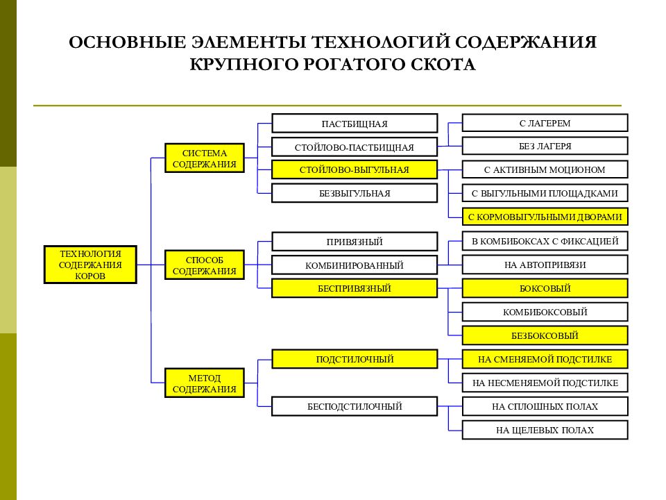 Технология содержание. Системы содержания КРС. Системы и способы содержания КРС. Способы содержания крупного рогатого скота. Системы содержания КРС кратко.