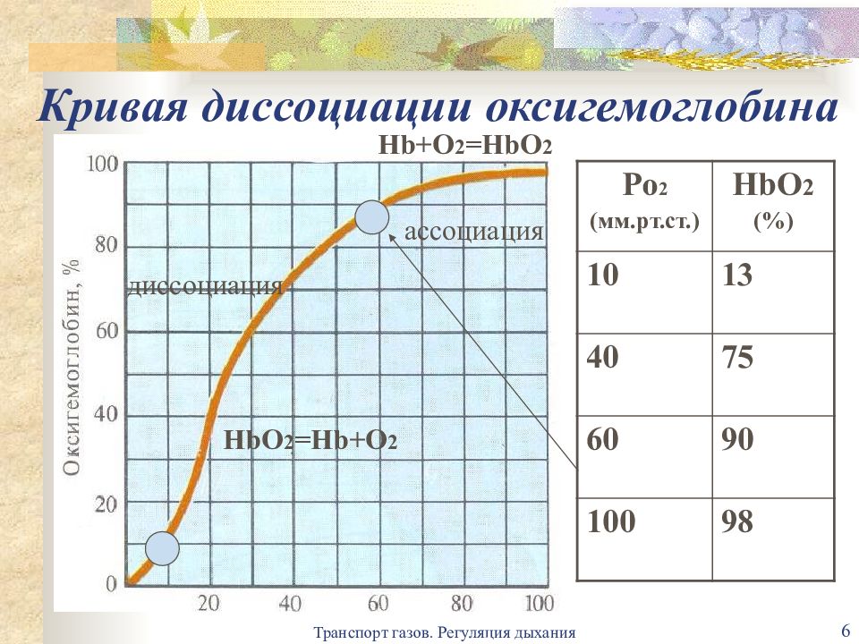 Диссоциация оксигемоглобина