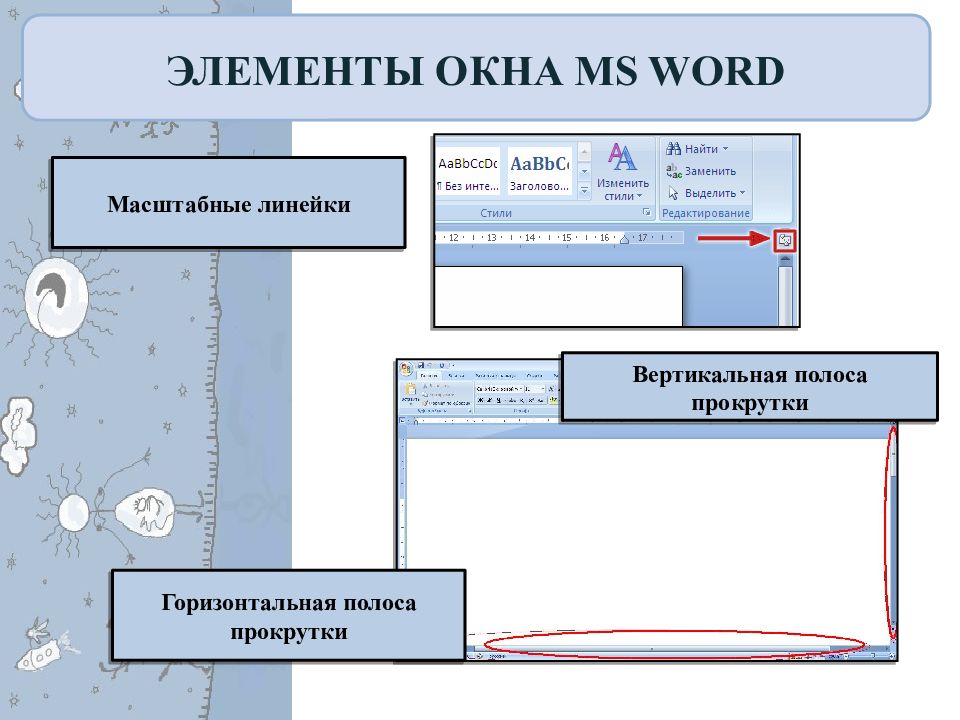 Элементы окна. Элементы ворда. Элементы Word. Элементы окна ворд. Элементы окна wordpad.