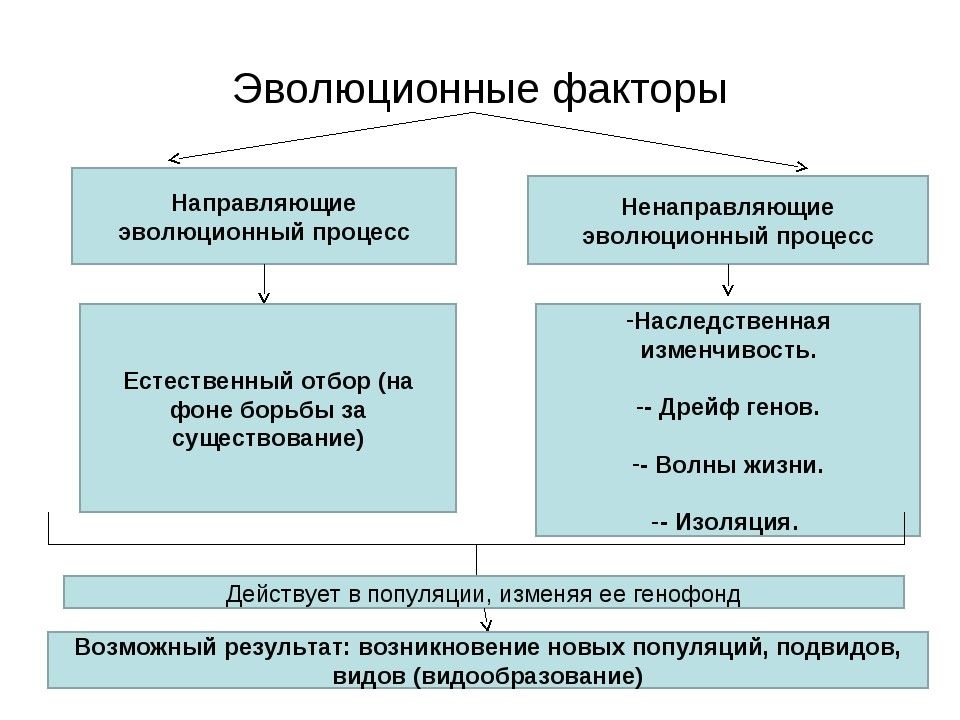 Элементарные факторы эволюции презентация