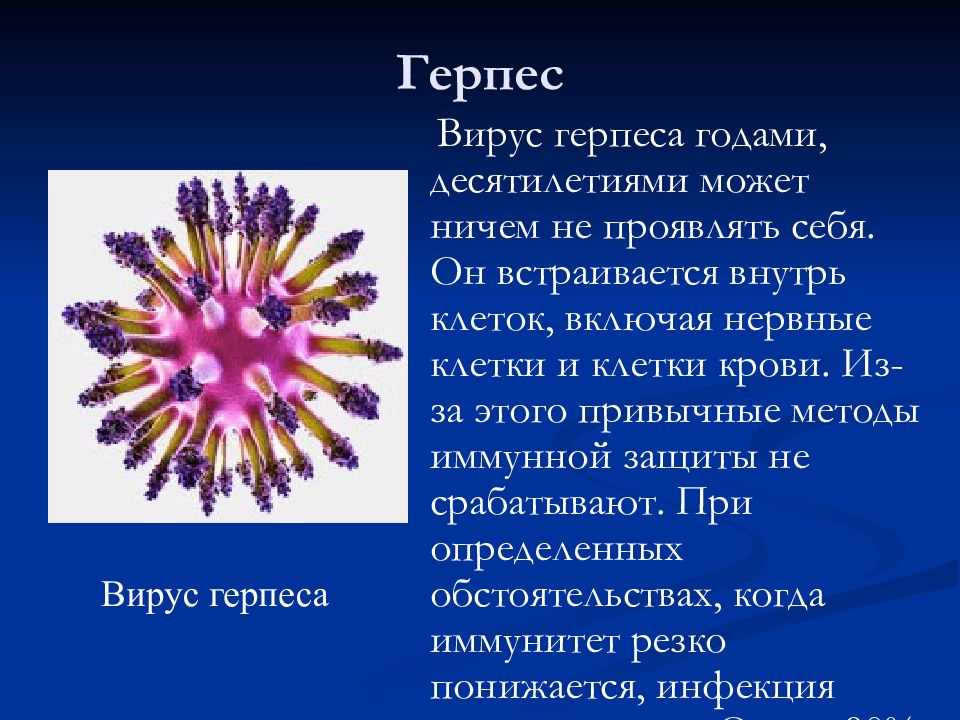 Герпетический вирус. Вирус герпеса презентация. Вирус герпеса характеристика.