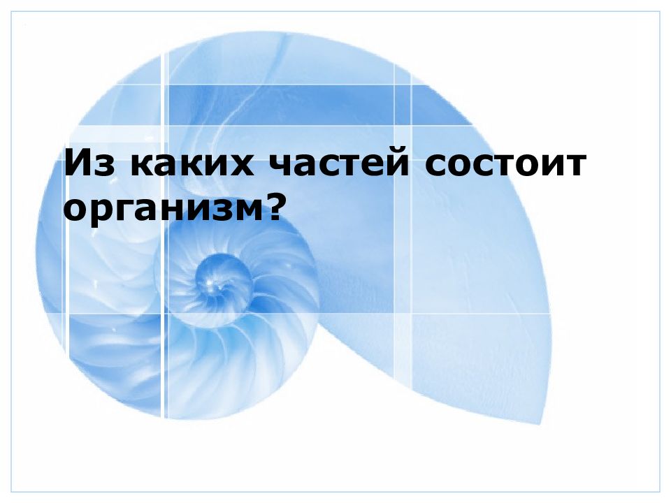 Презентация по биологии 6 класс организм единое целое