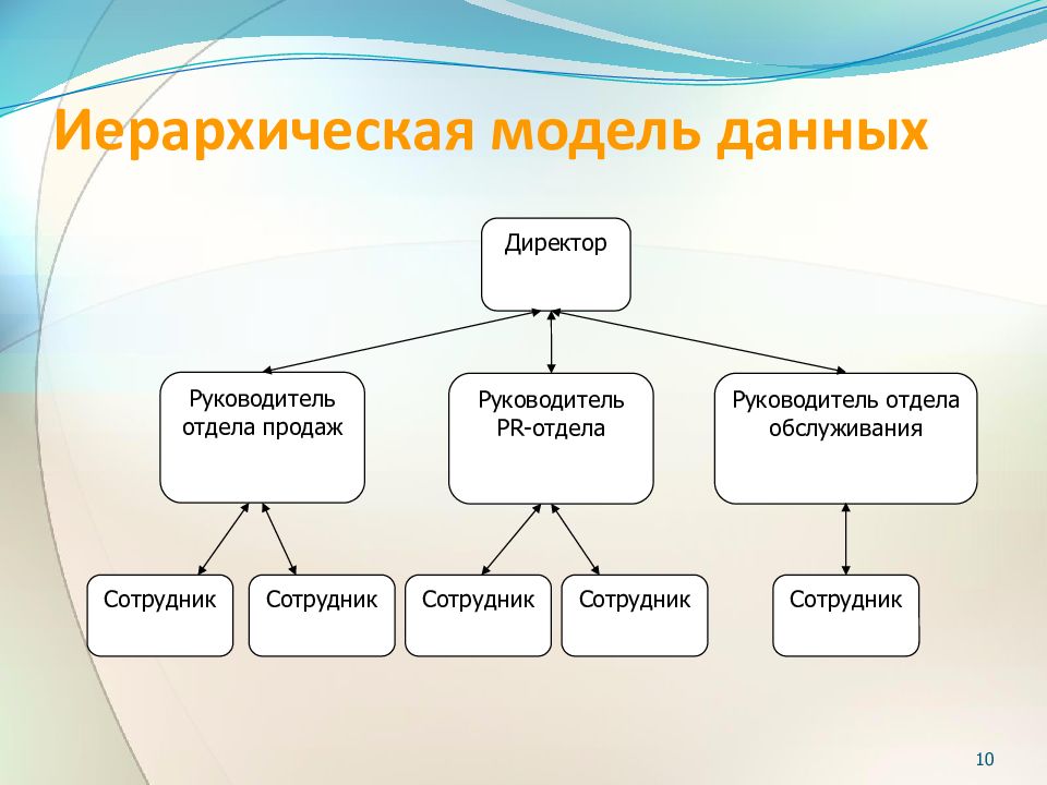 Классы моделей данных. Иерархическая модель животных. Иерархическая структура животного мира. Построить иерархическую модель. Иерархия данных таблицы.