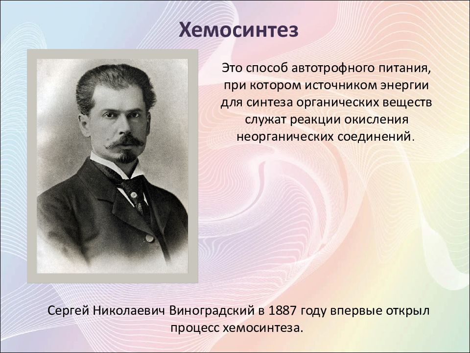 Хемосинтез происходит. Сергей Николаевич Виноградский открыл хемосинтез. Виногродский открытие хемосин. Хемосинтез открыл в 1887 году. Виноградский хемосинтез.