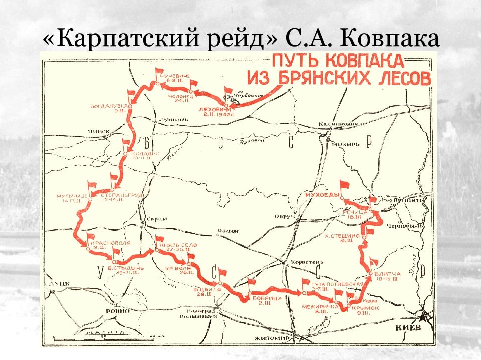 Партизанское движение в годы великой отечественной войны карта