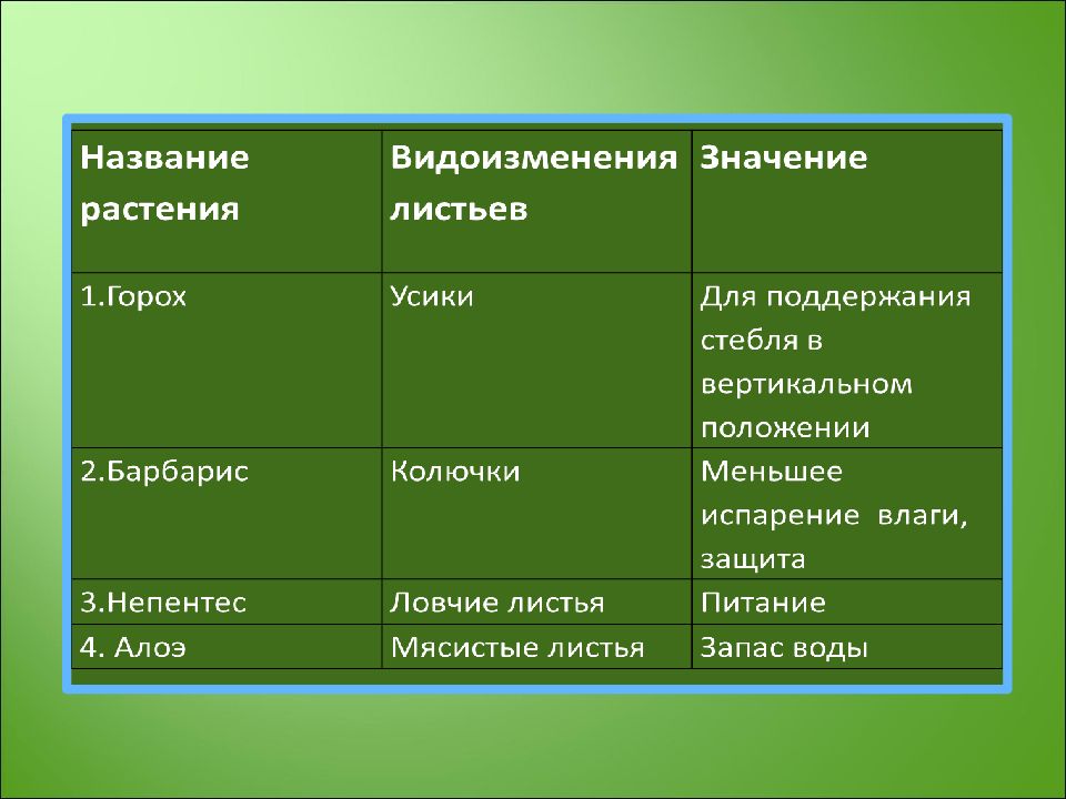 Виды изменения листьев презентация