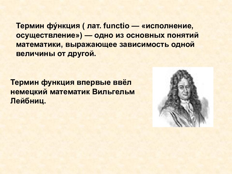Функция терминологии. Функция терминологии