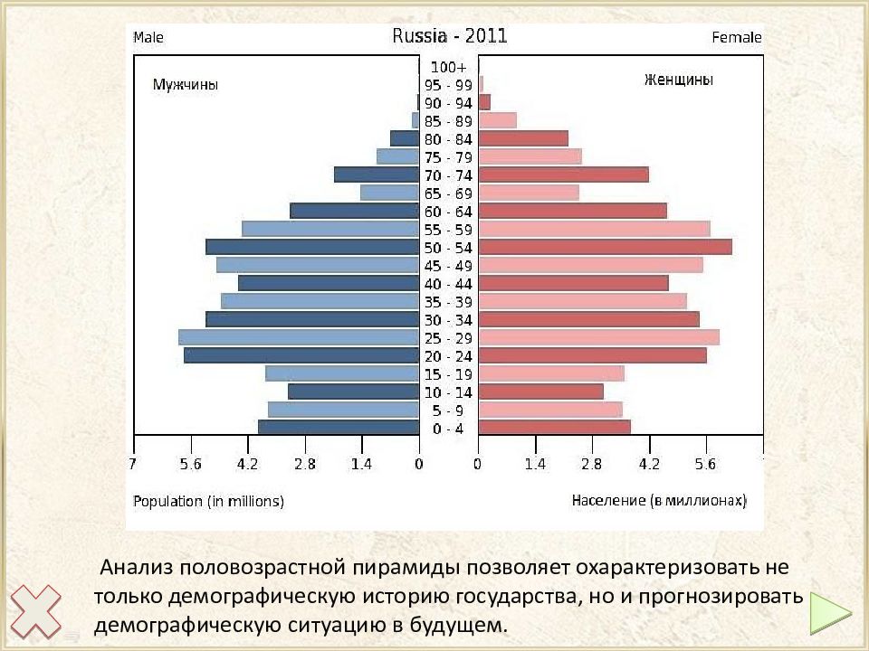 Презентация половозрастная структура населения россии 8 класс