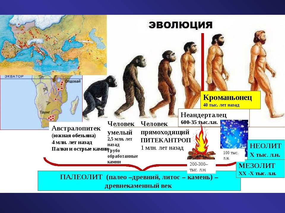 Древнейшие представители. Древнейшие люди презентация. К древним людям относятся. Древние люди презентация. К древние люди относятся.