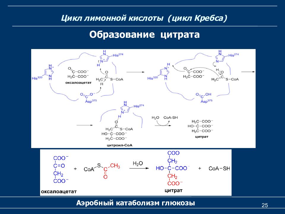 Велосипеды STELS Двухколесные. Официальный Сайт … Foto 16