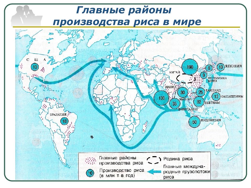 Где растет рис карта