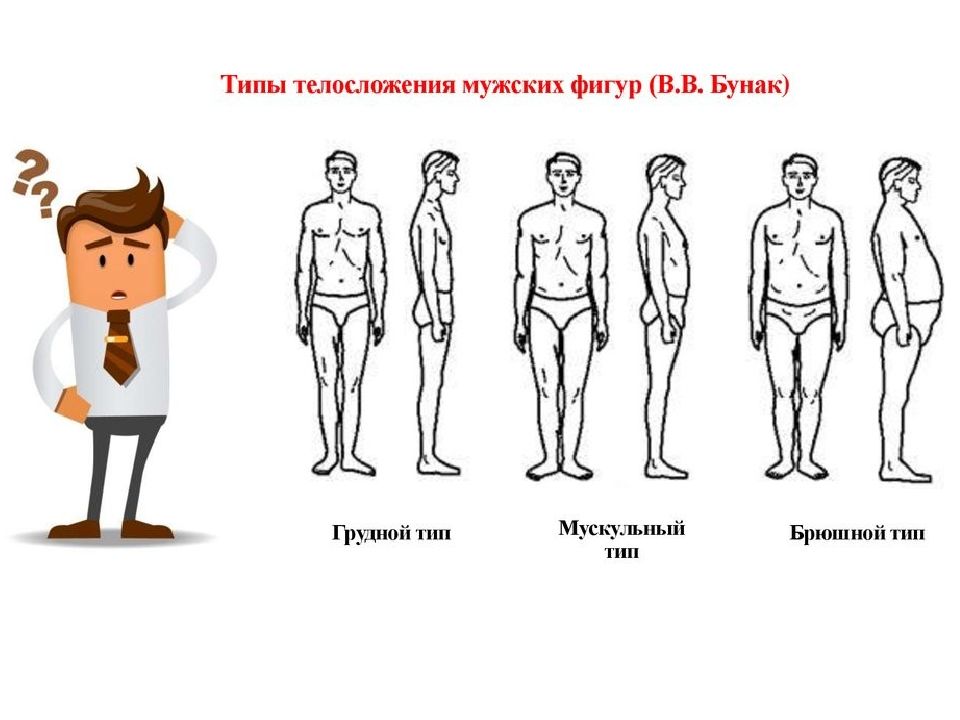 Виды мужчин. Типы мужских фигур. Типы мужского телосложения. Типы мужских фигур фото. Типы комплекций мужчин.