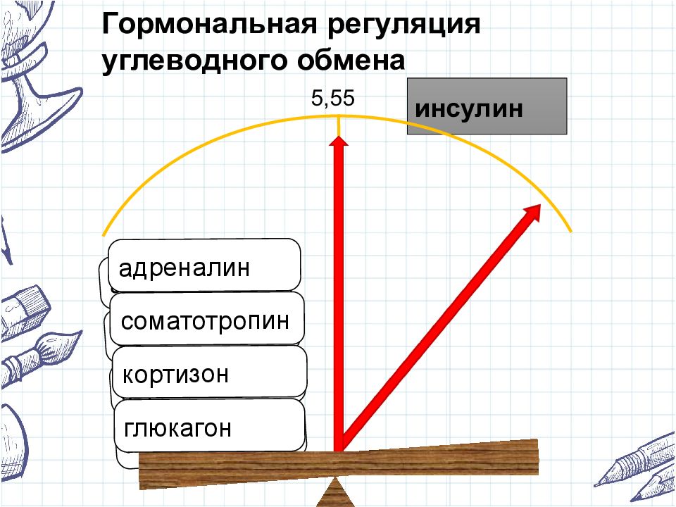 Адреналин и инсулин.