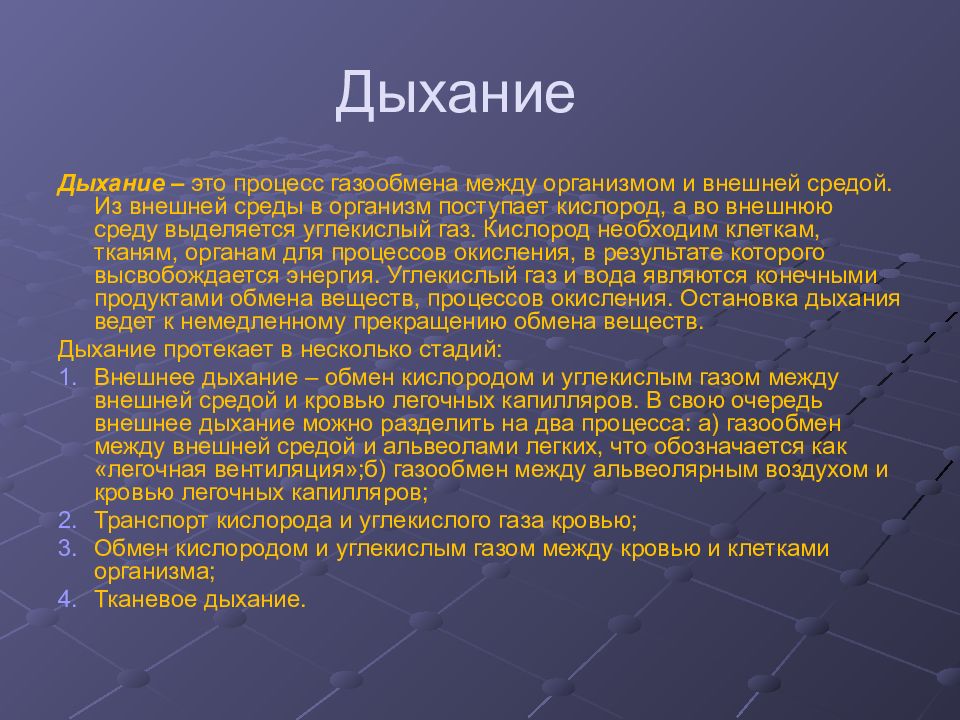 Организация дыхание. Органы дыхания вывод. Заключение по дыхательной системе. Дыхание заключение. Дыхательная система заключение.