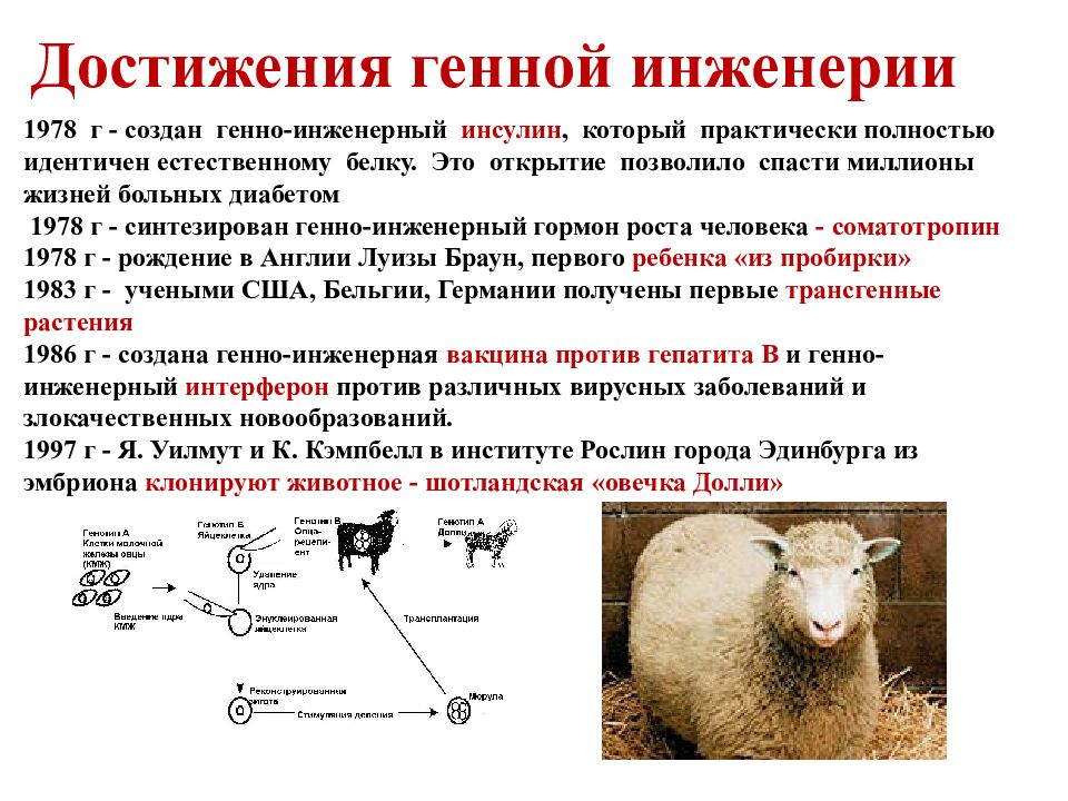 Селекция и биотехнология презентация